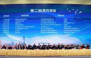 第十二屆丹頂鶴文化藝術節暨經貿洽談會盛大開幕，推動縣域經濟文化融合發展