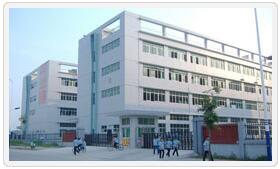 強(qiáng)強(qiáng)聯(lián)手，共拓國際市場——東莞億網(wǎng)與東莞市寶順國際貿(mào)易有限公司簽約成功